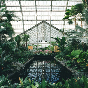 啊哈又加一指啊哈啊
